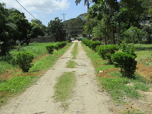 Eastern part of the site