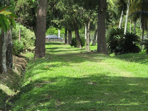 Nature Trail in the middle of a township of Curepe